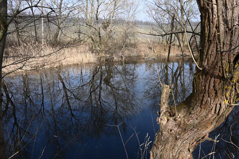 Magdalenenhofteich