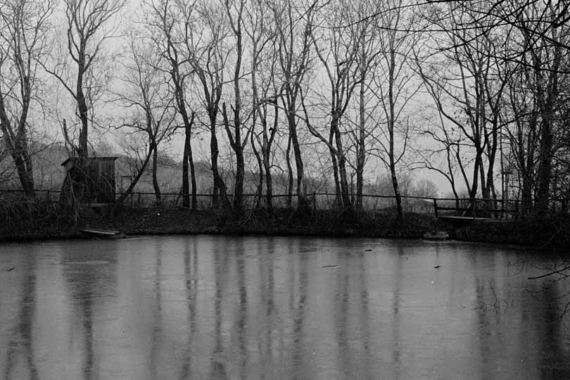 Magdalenenhofteich