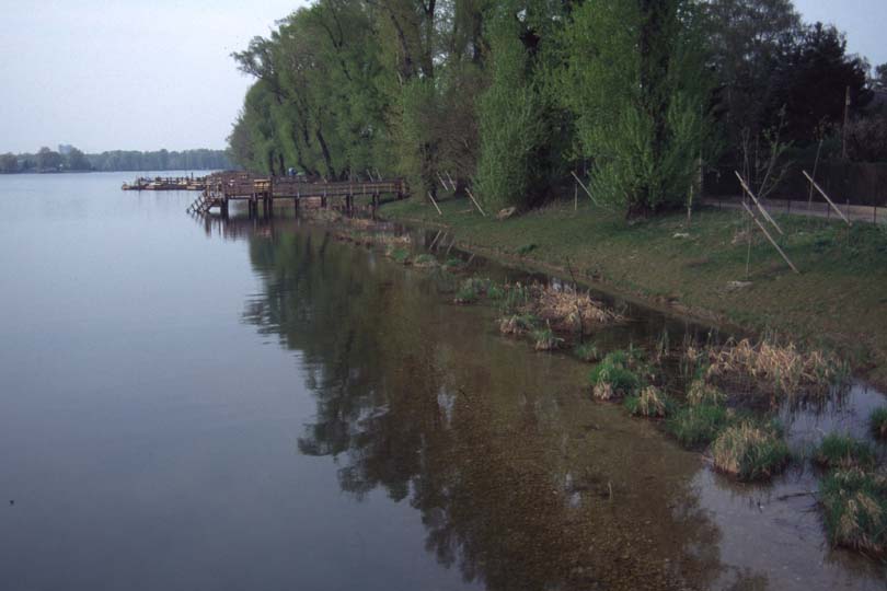 Alte Donau