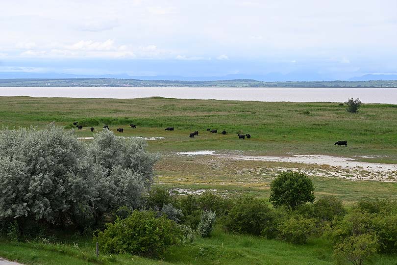 Nationalpark Neusiedler See Seewinkel