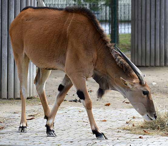 die Bildnummer ist 201610140052