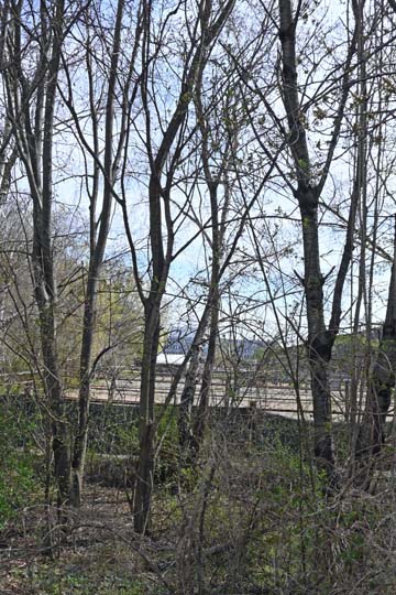 Gro Enzersdorf