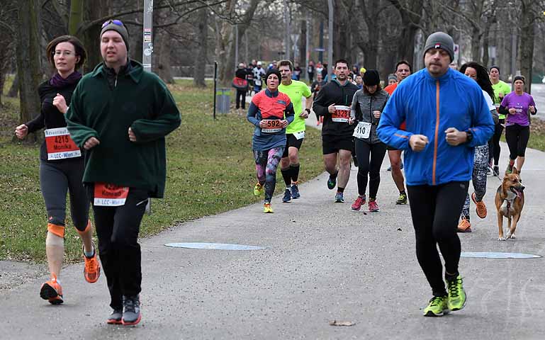die Bildnummer ist 201612110207