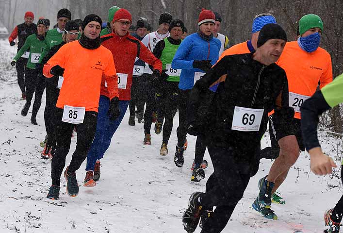 die Bildnummer ist 201601230012