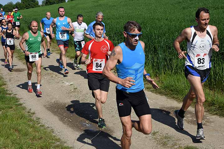 die Bildnummer ist 201605210265