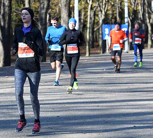 die Bildnummer ist 201611130503