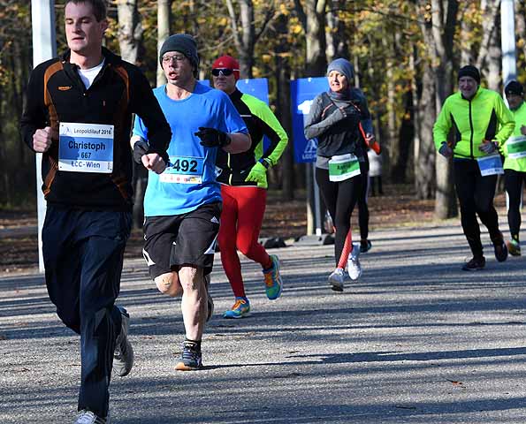 die Bildnummer ist 201611130531