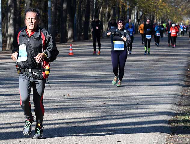 die Bildnummer ist 201611130575