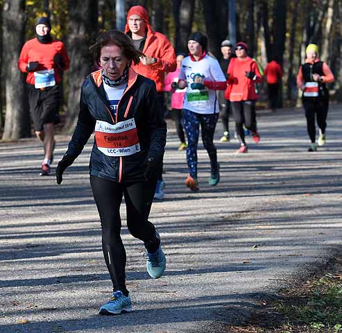 die Bildnummer ist 201611130583