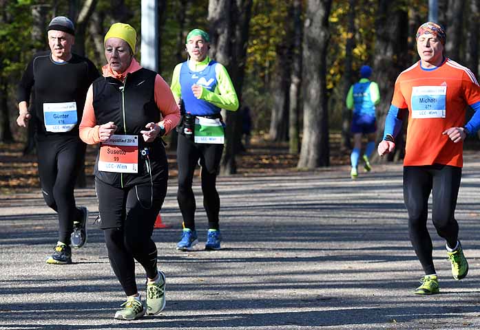 die Bildnummer ist 201611130585