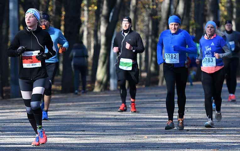 die Bildnummer ist 201611130588