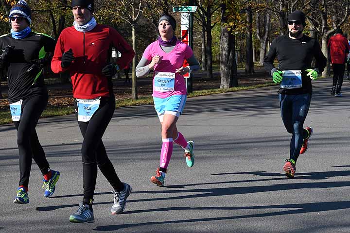 die Bildnummer ist 201611130825
