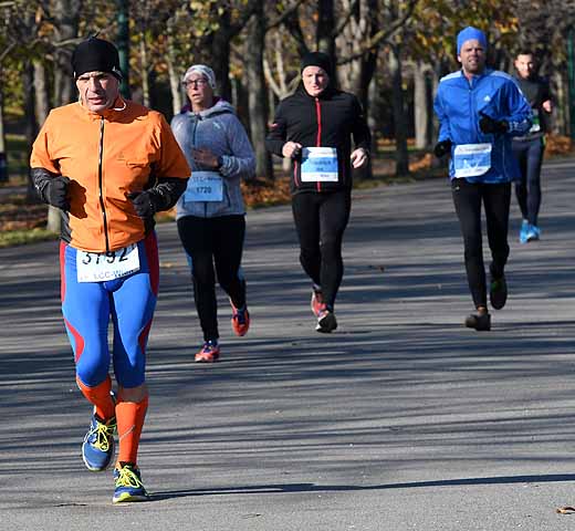die Bildnummer ist 201611130913