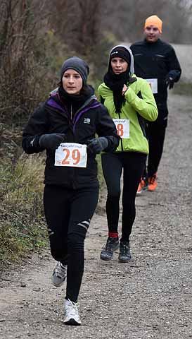 die Bildnummer ist 201601030239