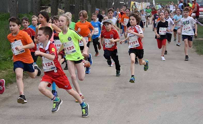 die Bildnummer ist 201604160135