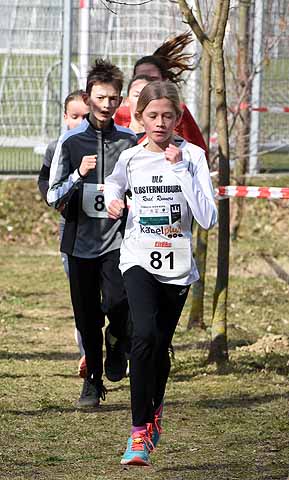 die Bildnummer ist 201703110178