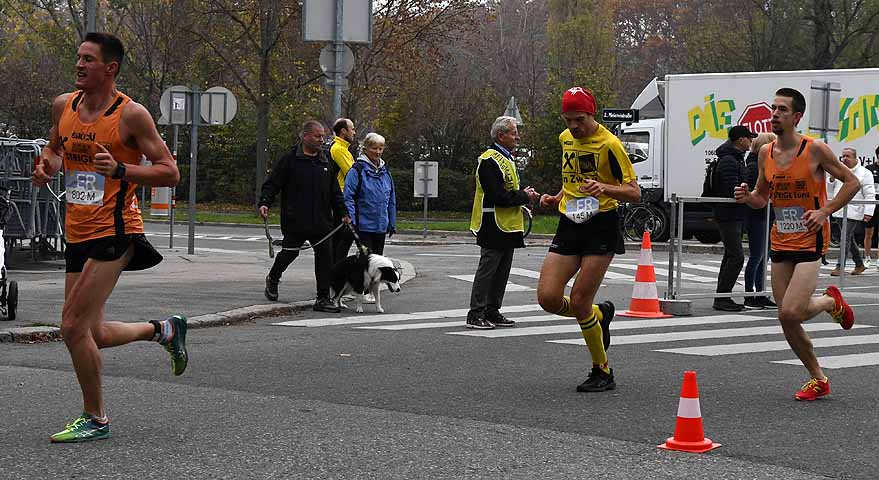 die Bildnummer ist 201811110179
