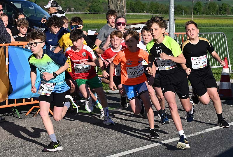 Maissauer Amethystlauf