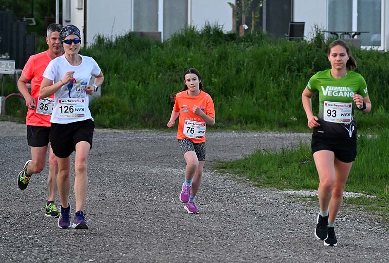 Maissauer Amethystlauf