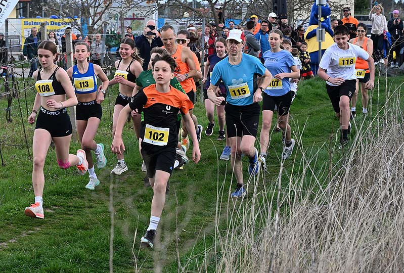 Pfaffstättner Weinberg-Crosslauf