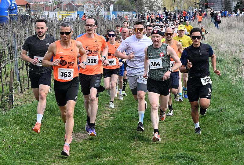 Pfaffstättner Weinberg-Crosslauf
