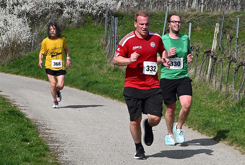 Pfaffstättner Weinberg-Crosslauf