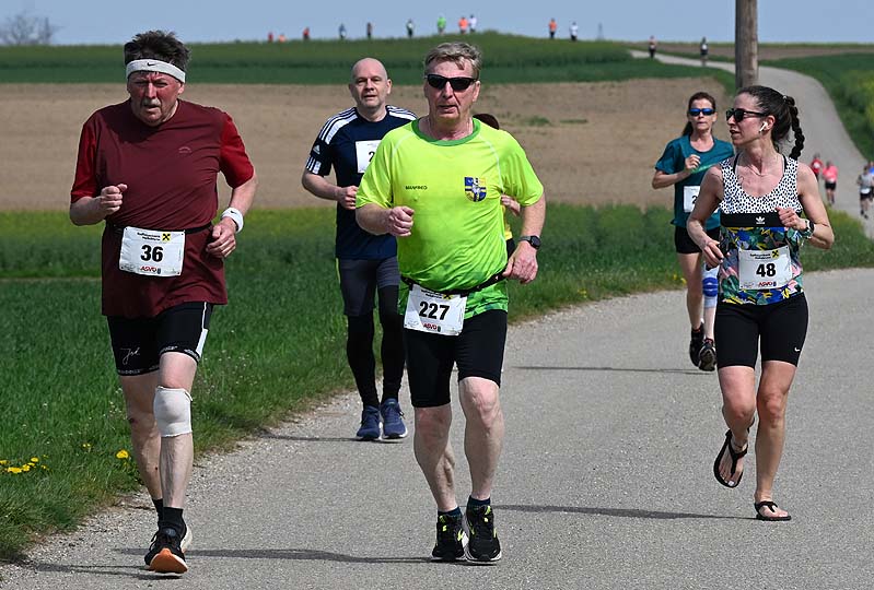 Ziersdorfer Osterlauf
