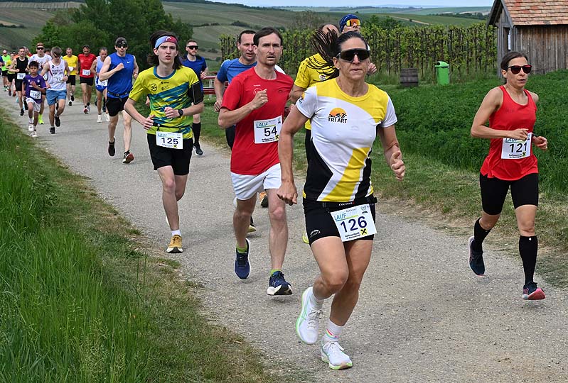 Falkensteiner Berggerichtslauf