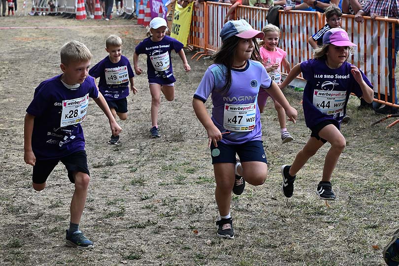 Maissauer Amethystlauf