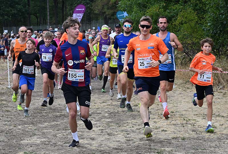 Maissauer Amethystlauf