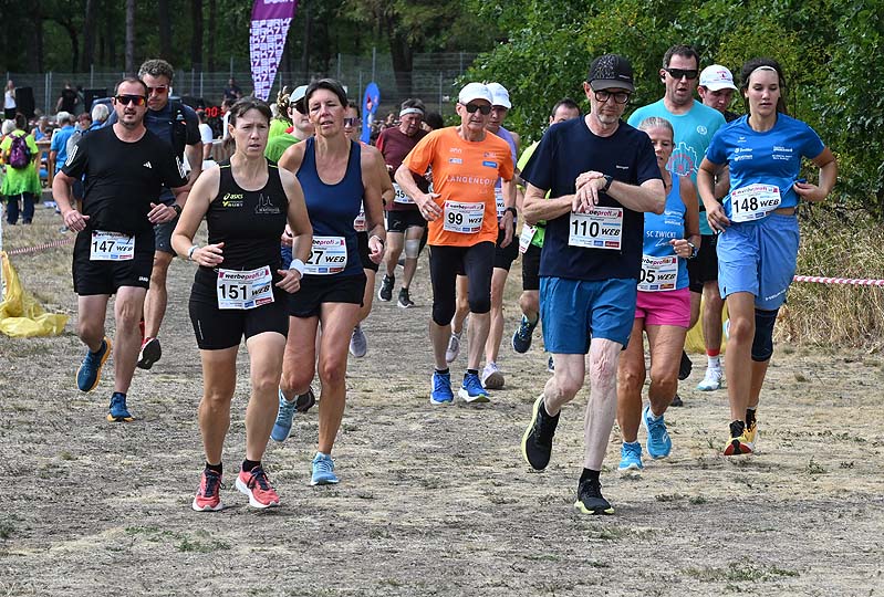Maissauer Amethystlauf