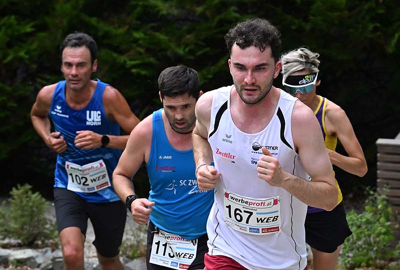 Maissauer Amethystlauf