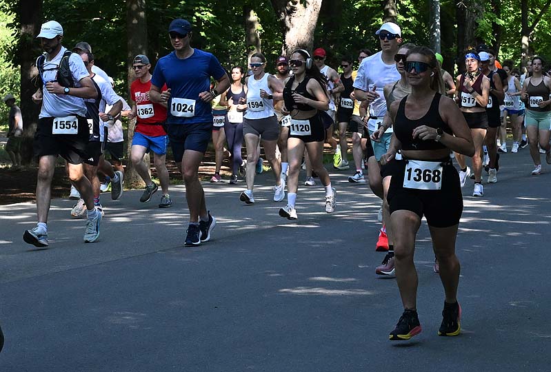 Sommerlaufcup