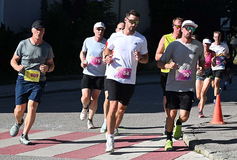 wilhelmsburger Stadtlauf
