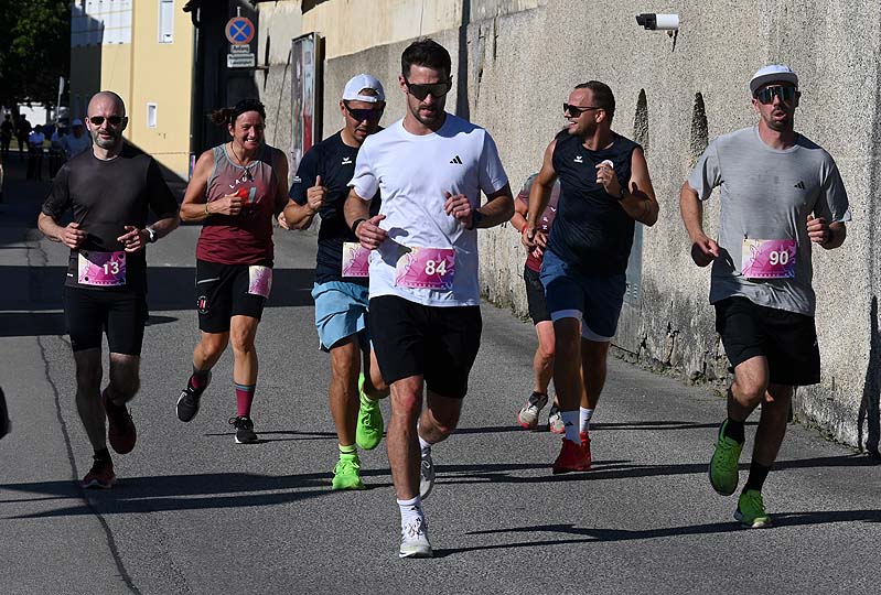 wilhelmsburger Stadtlauf