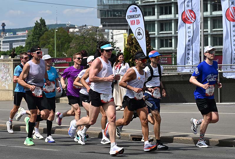 Wings for Life World Run