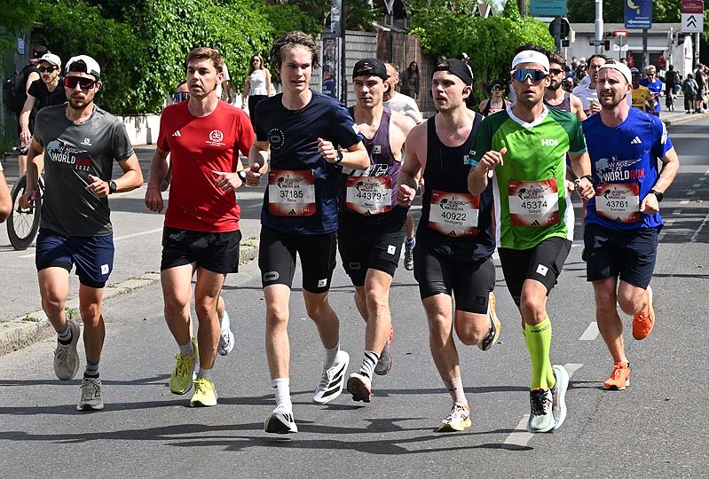 Wings for Life World Run