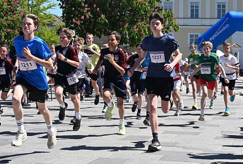 Wolkersdorfer Schlossparklauf