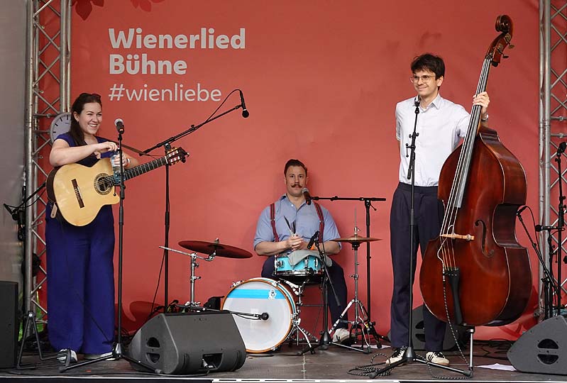 Stubenfliege