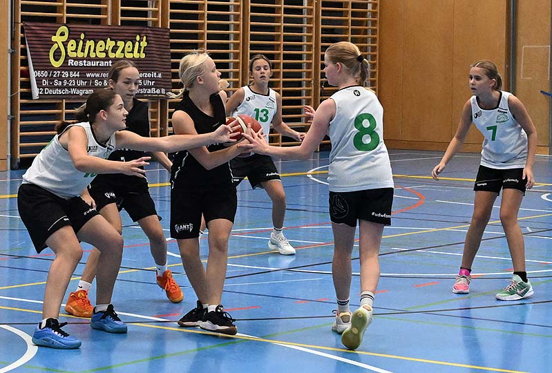 Basketball