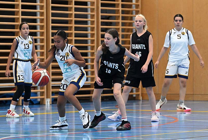 Basketball