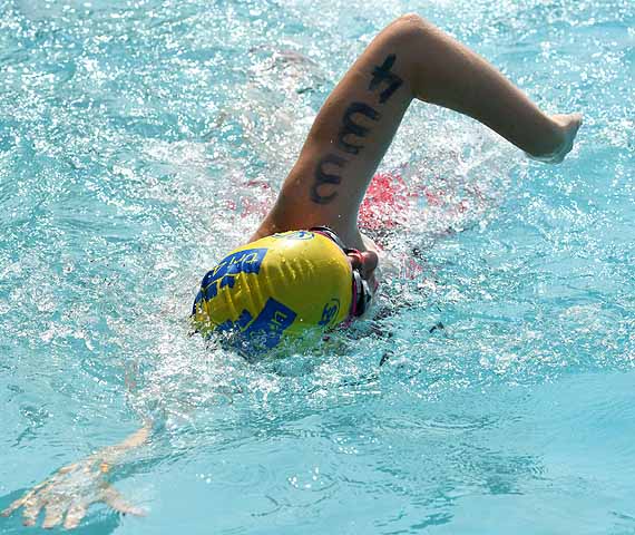 die Bildnummer ist 201706250162