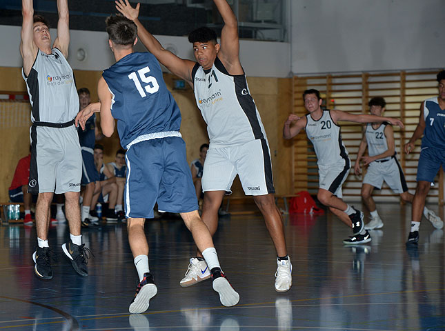 die Bildnummer ist 201910030016