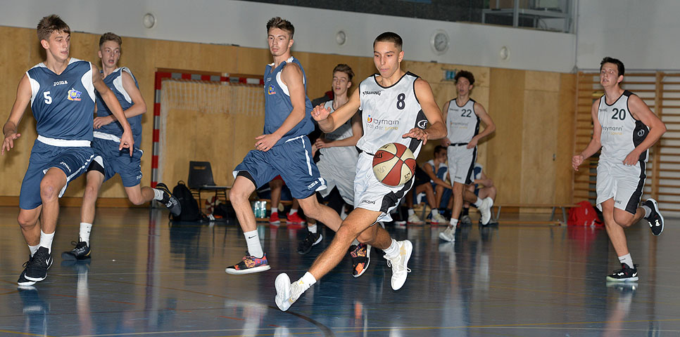 die Bildnummer ist 201910030021