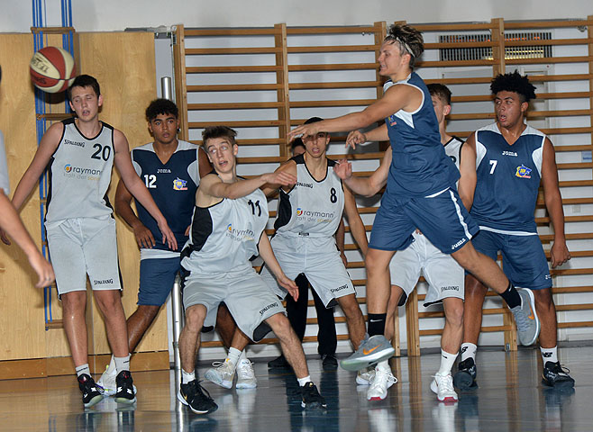 die Bildnummer ist 201910030097