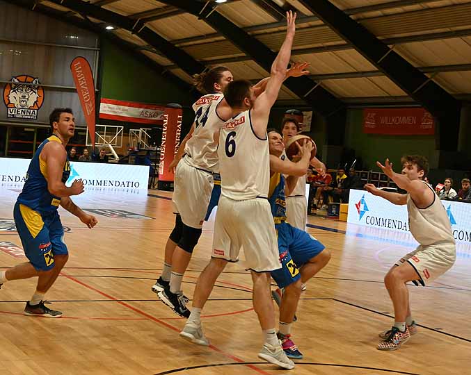 die Bildnummer ist 201912280067