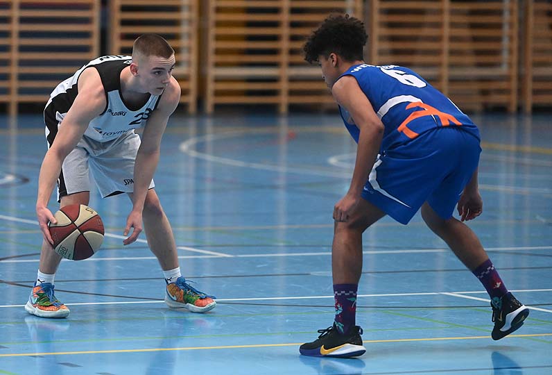 die Bildnummer ist 202003080137