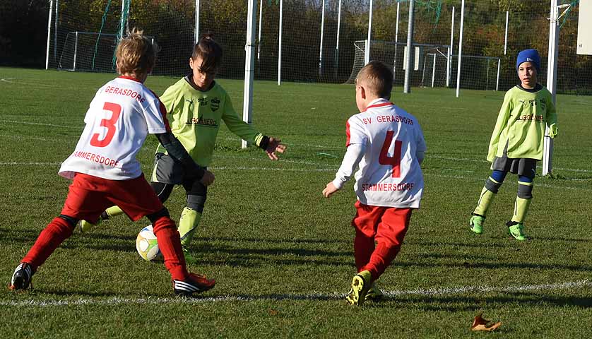 die Bildnummer ist 201711110025