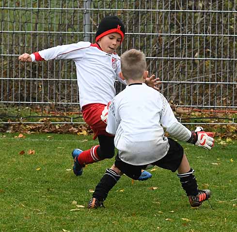 die Bildnummer ist 201811100154