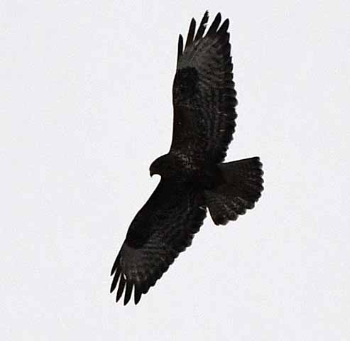 die Bildnummer ist 201801030031